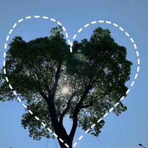 国产成人性毛片aaww
